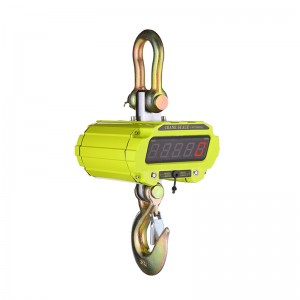 H1 Compact Crane Scale with Infrared Remote Controller
